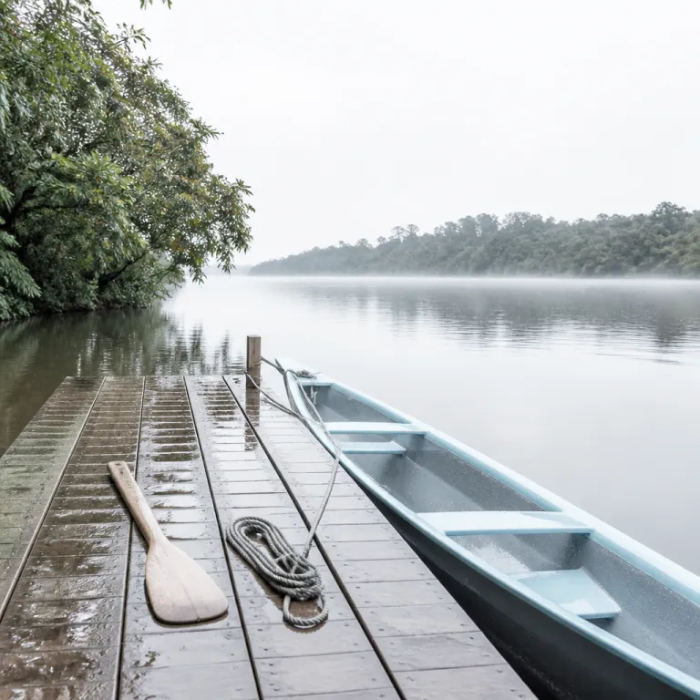 Voyager pendant la saison des pluies en Guyane : choisir la bonne période pour un séjour réussi