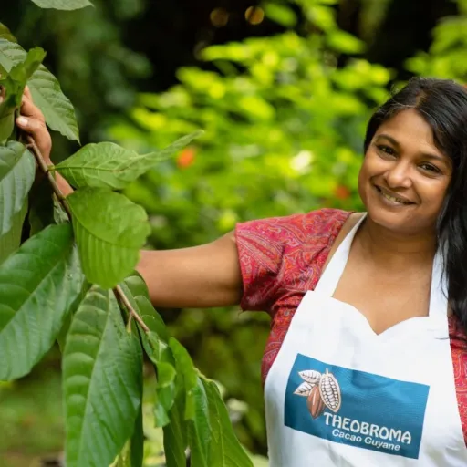 Interview de Drupa Angenieux de THEOBROMA CACAO GUYANE : Entrepreneuriat et valorisation du cacao en Guyane