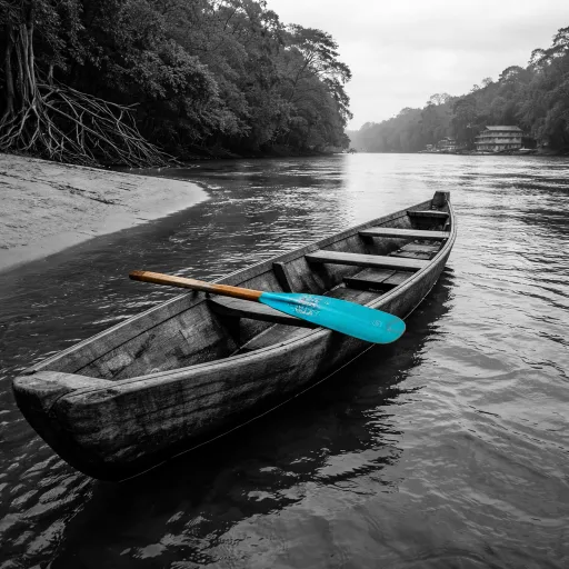 Remonter le Maroni en pirogue : guide concret d'une journée fluviale
