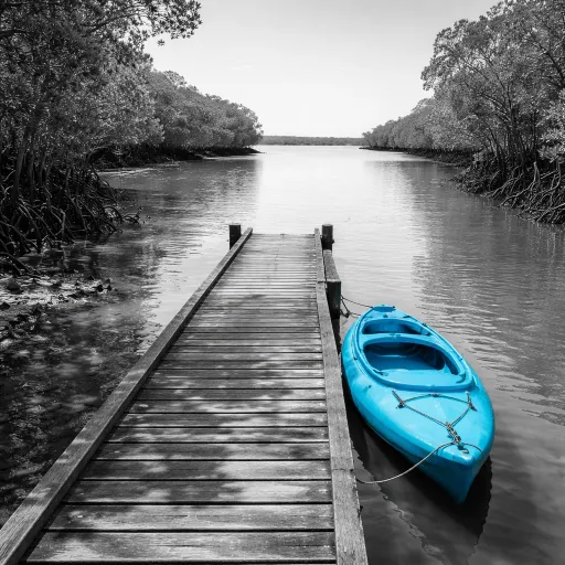 Quand partir en Guyane : le calendrier réel des saisons et de la fréquentation