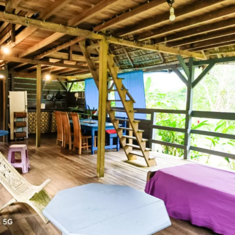 Interview de Stephane Moreau de Gîte Moutouchi : Accueillir et faire découvrir la Guyane au travers d’un gîte touristique