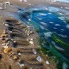 Guyane et plages atlantiques : un littoral sauvage entre Cayenne et Awala-Yalimapo