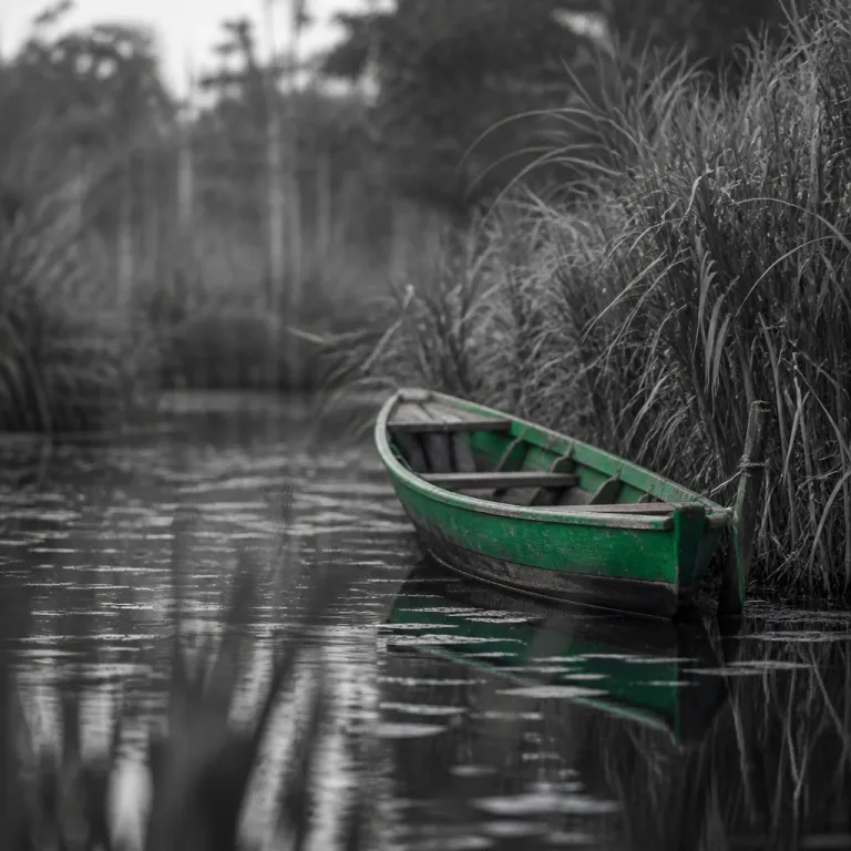 Les marais de Kaw, joyau amazonien de Guyane à vivre en immersion