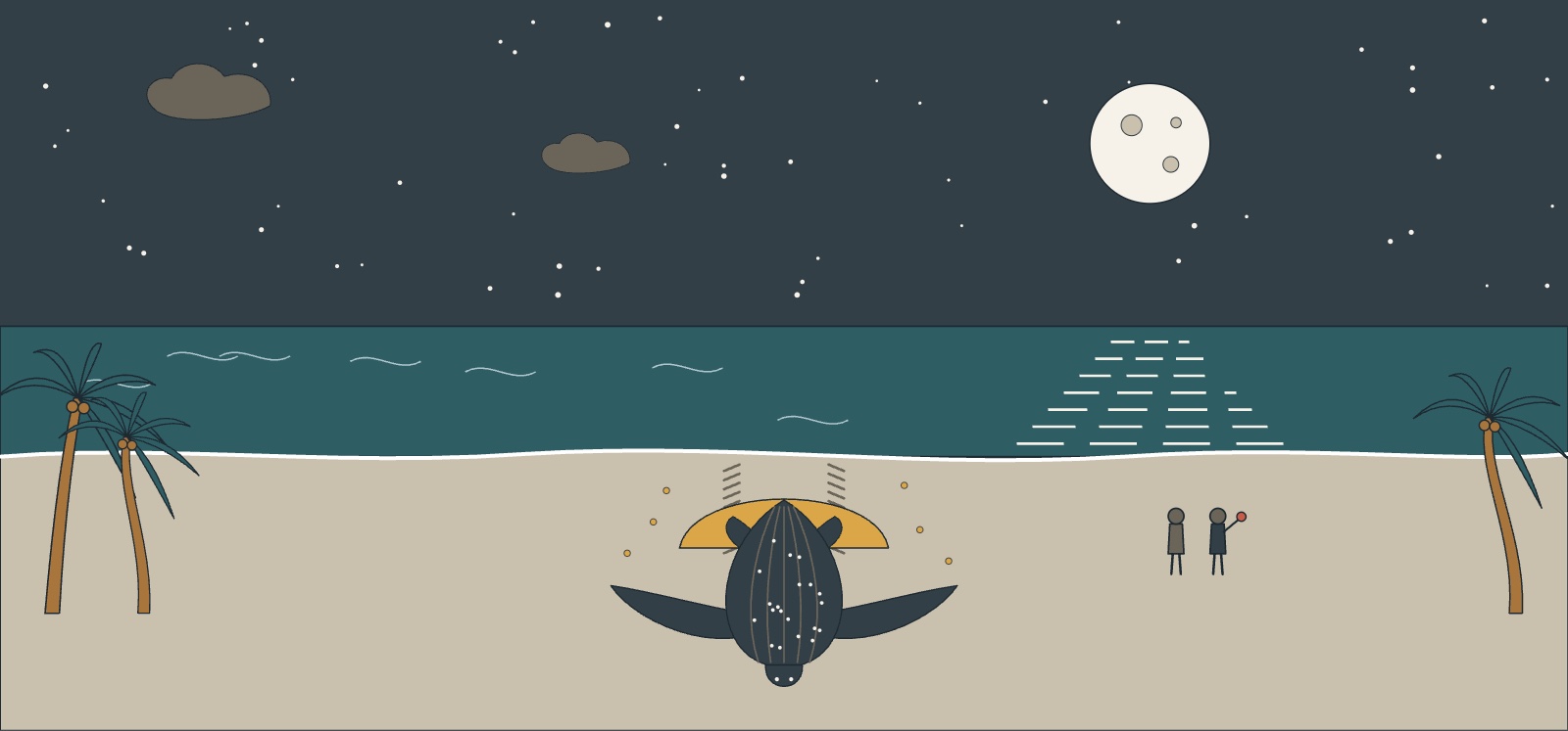 Illustration d'une tortue luth pondant de nuit sur la plage des Hattes à Awala-Yalimapo, sous la lune