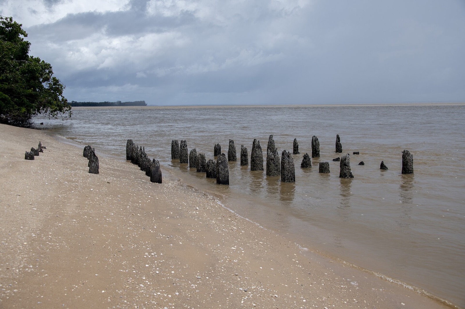 La plage des Hattes à Awala-Yalimapo, avec des pieux de bois dans l'eau à marée montante